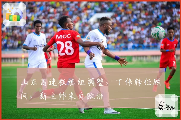 山东高速教练组调整，丁伟转任顾问，新主帅来自欧洲