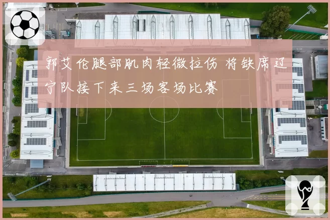 郭艾伦腿部肌肉轻微拉伤 将缺席辽宁队接下来三场客场比赛